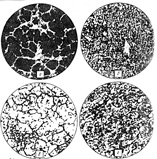 Марки стали для ножа. Как выбрать